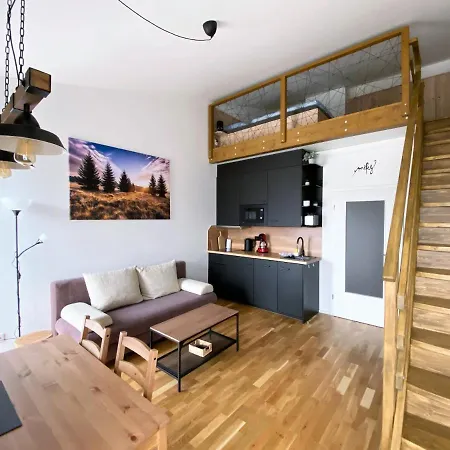 Miky Apartman Klinovec View Loucna pod Klinovcem Exterior photo